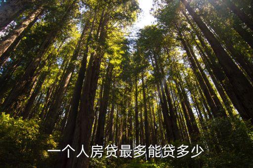 一個人房貸最多能貸多少