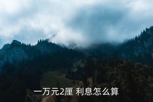 一萬(wàn)兩分利息一個(gè)月多少錢(qián),2分利息違法嗎