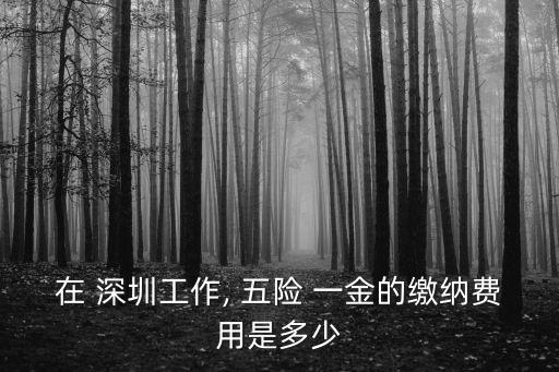 在 深圳工作, 五險 一金的繳納費用是多少