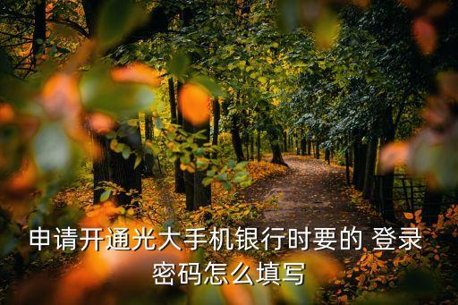 申請(qǐng)開通光大手機(jī)銀行時(shí)要的 登錄 密碼怎么填寫