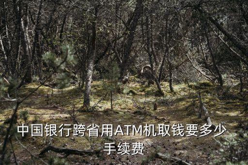 外地atm機存款手續(xù)費是多少