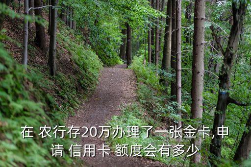 在 農(nóng)行存20萬辦理了一張金卡,申請 信用卡 額度會有多少