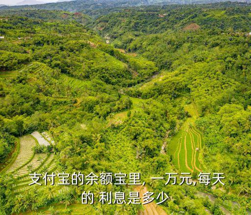  支付寶的余額寶里, 一萬元,每天的 利息是多少