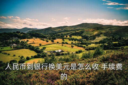 人民幣到銀行換美元是怎么收 手續(xù)費(fèi)的