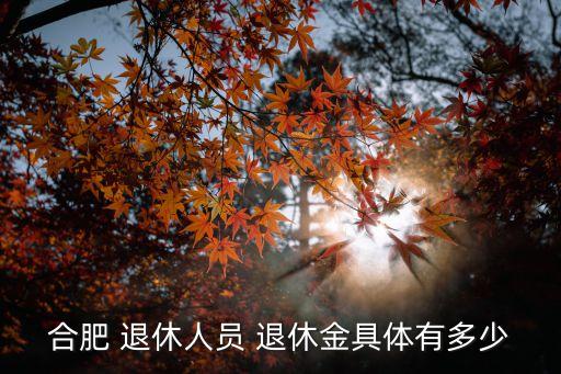 合肥 退休人員 退休金具體有多少