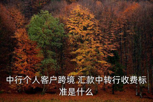 往國外個人匯款手續(xù)費是多少錢,國外匯款到國內個人手續(xù)費是多少