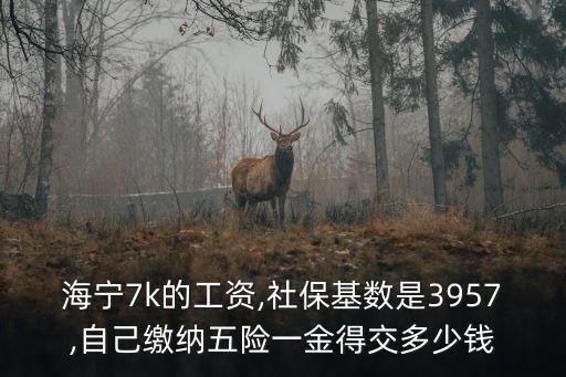 海寧7k的工資,社?；鶖?shù)是3957,自己繳納五險(xiǎn)一金得交多少錢