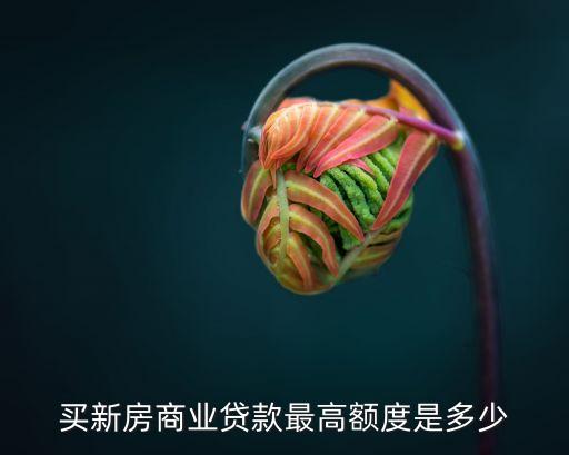買新房商業(yè)貸款最高額度是多少