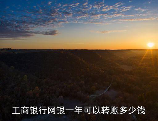 工商銀行網(wǎng)銀一年可以轉(zhuǎn)賬多少錢