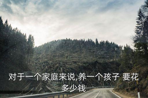 對(duì)于一個(gè)家庭來(lái)說(shuō),養(yǎng)一個(gè)孩子 要花多少錢
