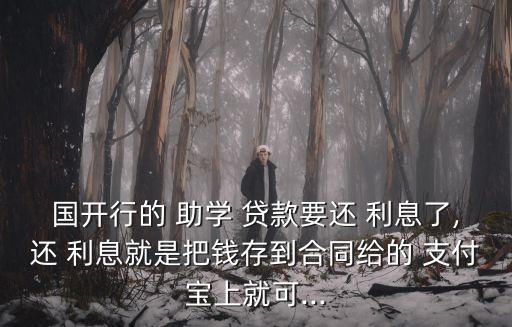 國開行的 助學(xué) 貸款要還 利息了,還 利息就是把錢存到合同給的 支付寶上就可...