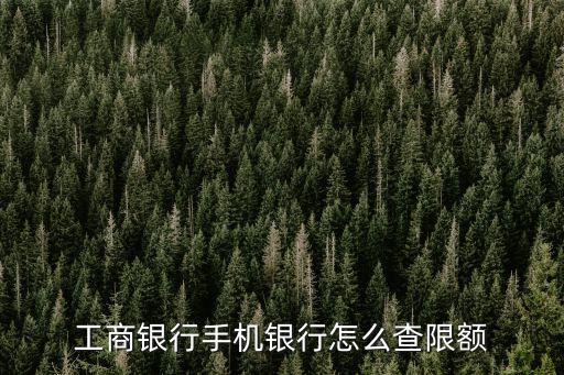 工行下卡怎么查額度是多少錢(qián)