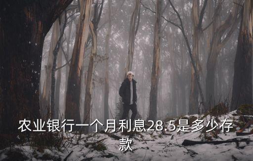 農(nóng)行的月利率多少錢(qián),農(nóng)行0.3%是月利率嗎