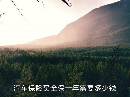 全車險(xiǎn)包多少錢,第二年車險(xiǎn)大概要多少錢