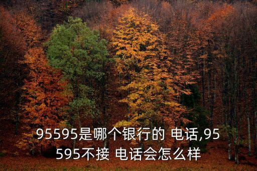 95595是哪個(gè)銀行的 電話,95595不接 電話會(huì)怎么樣