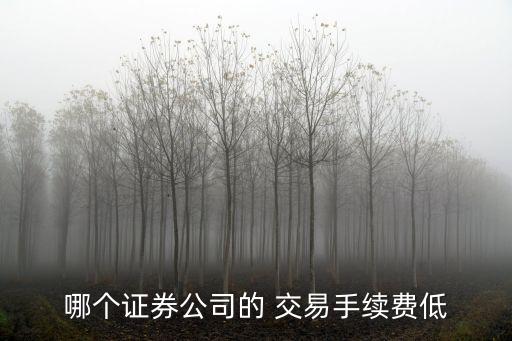 哪個(gè)證券公司的 交易手續(xù)費(fèi)低