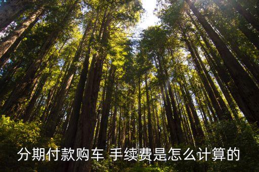 貸款車(chē)買(mǎi)賣(mài)手續(xù)費(fèi)是多少錢(qián),買(mǎi)車(chē)貸款需要利息和手續(xù)費(fèi)嗎