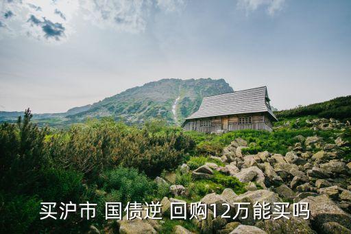 買滬市 國債逆 回購12萬能買嗎