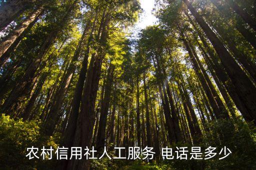  農(nóng)村信用社人工服務 電話是多少