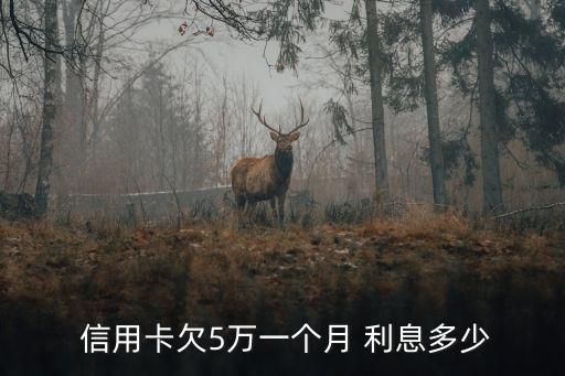 信用貸款5萬(wàn)利息多少,農(nóng)村信用貸款的利息是多少