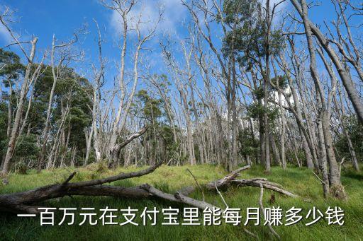 一百萬元在支付寶里能每月賺多少錢
