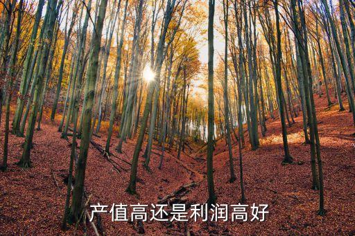 產值利潤率多少合適,平均產值利潤率計算公式