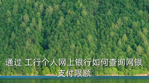 通過 工行個(gè)人網(wǎng)上銀行如何查詢網(wǎng)銀支付限額