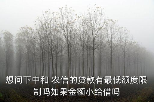 想問下中和 農(nóng)信的貸款有最低額度限制嗎如果金額小給借嗎