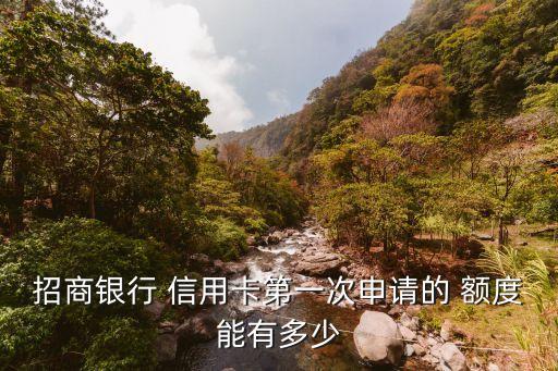 招商銀行 信用卡第一次申請的 額度能有多少
