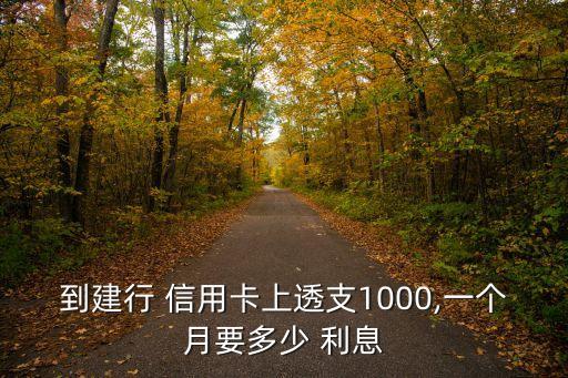 信用卡一千利息多少錢