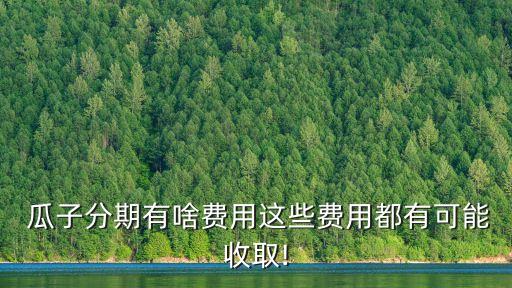 瓜子二手車貸款利息是多少錢