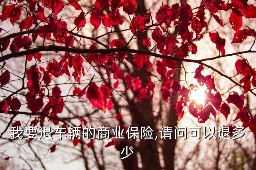車險退保扣多少手續(xù)費,未生效的車險退保有手續(xù)費嗎