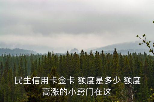  民生信用卡金卡 額度是多少 額度高漲的小竅門在這