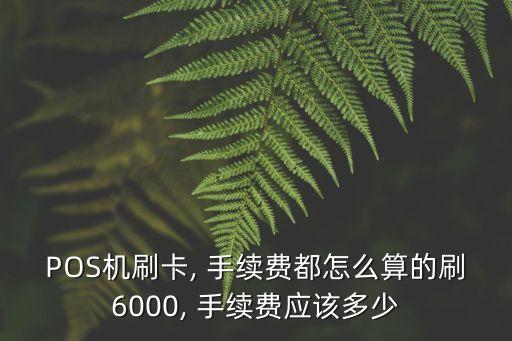 POS機(jī)刷卡, 手續(xù)費(fèi)都怎么算的刷6000, 手續(xù)費(fèi)應(yīng)該多少
