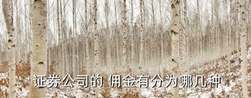 廣州證券的傭金是多少,證券賬戶傭金一般多少
