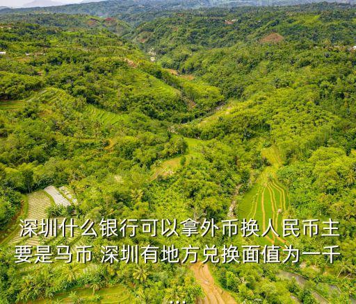  深圳什么銀行可以拿外幣換人民幣主要是馬幣 深圳有地方兌換面值為一千...