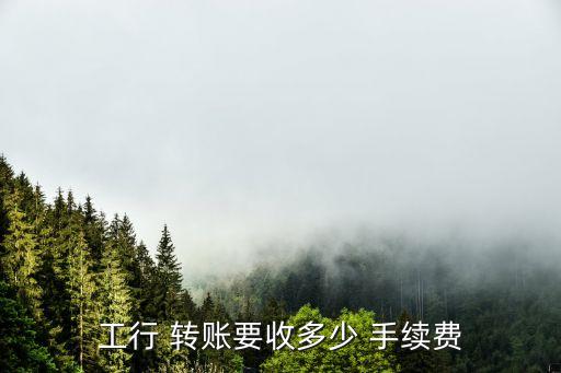 銀行卡給公司轉(zhuǎn)賬手續(xù)費(fèi)是多少,支付寶向銀行卡轉(zhuǎn)賬需要手續(xù)費(fèi)嗎