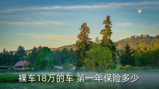 新車第一年全險多少錢