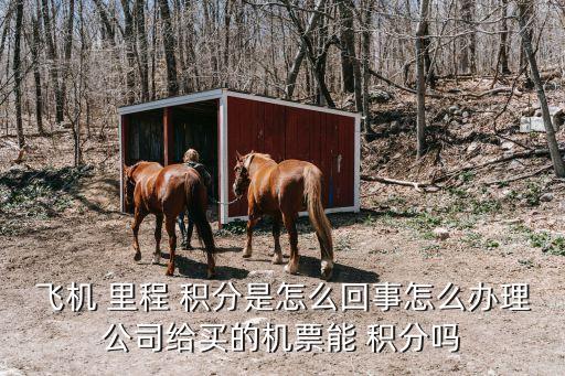 飛機(jī) 里程 積分是怎么回事怎么辦理公司給買(mǎi)的機(jī)票能 積分嗎