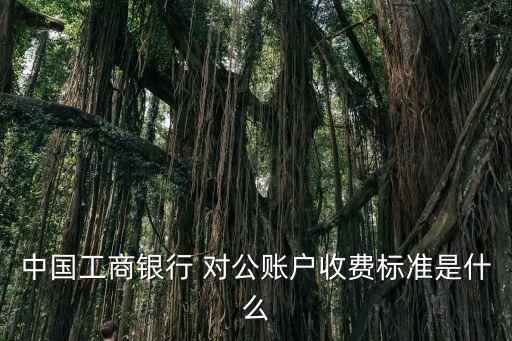 中國工商銀行 對公賬戶收費標(biāo)準(zhǔn)是什么