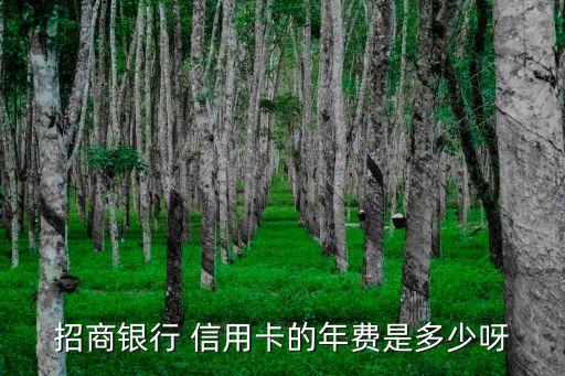 招商銀行 信用卡的年費(fèi)是多少呀
