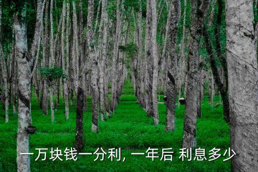 1分利息100000元一年漲多少錢,貸款100000一年利息