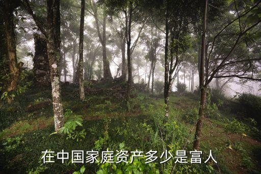 中國有多少千億富豪,世界上千億富豪有多少人
