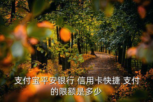  支付寶平安銀行 信用卡快捷 支付的限額是多少