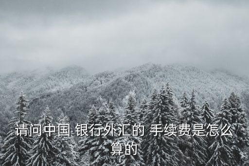 銀行換美元匯款手續(xù)費(fèi)多少錢,跨境匯款手續(xù)費(fèi)最低的銀行