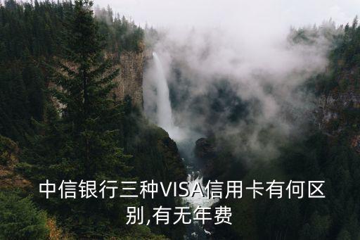 中信visa雙幣金卡額度多少錢