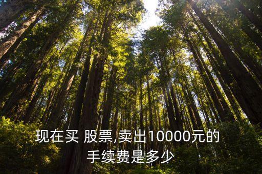 股票一萬(wàn)元多少手續(xù)費(fèi)多少,買(mǎi)賣(mài)一萬(wàn)元股票交多少錢(qián)手續(xù)費(fèi)