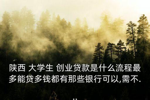 陜西 大學(xué)生 創(chuàng)業(yè)貸款是什么流程最多能貸多錢都有那些銀行可以,需不...