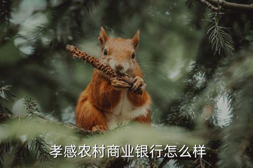  孝感農村商業(yè)銀行怎么樣