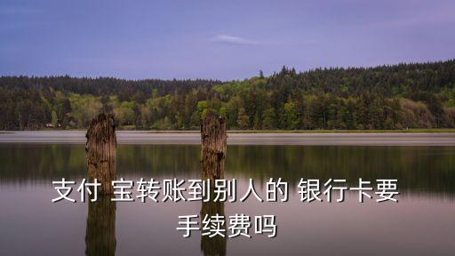  支付 寶轉(zhuǎn)賬到別人的 銀行卡要 手續(xù)費(fèi)嗎